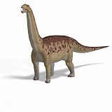 Camarasaurus